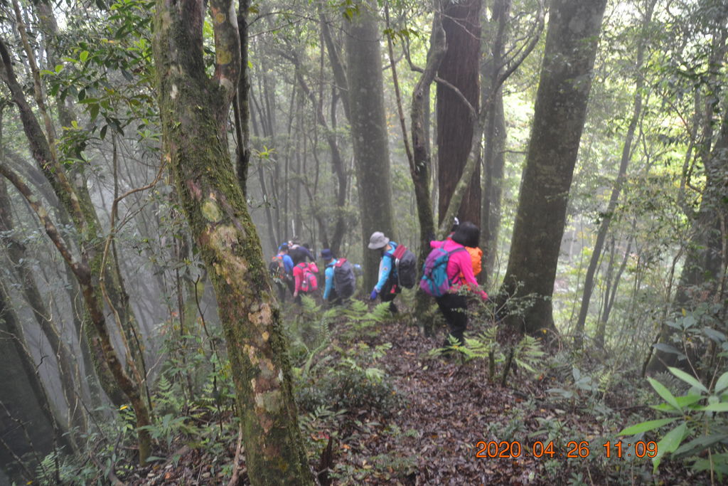 DSC_0108.JPG DSC_0108.JPG