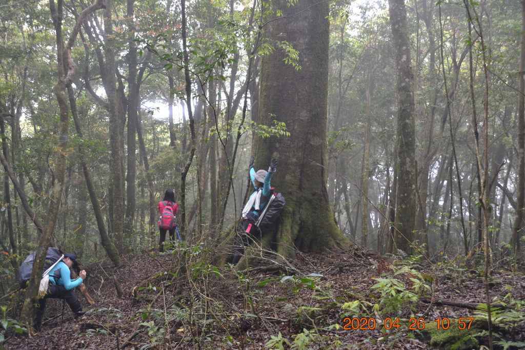 DSC_0103.JPG DSC_0103.JPG