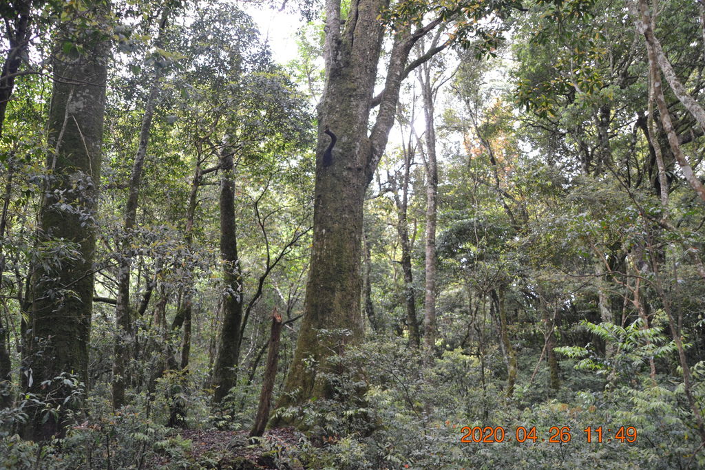 DSC_0119.JPG DSC_0119.JPG