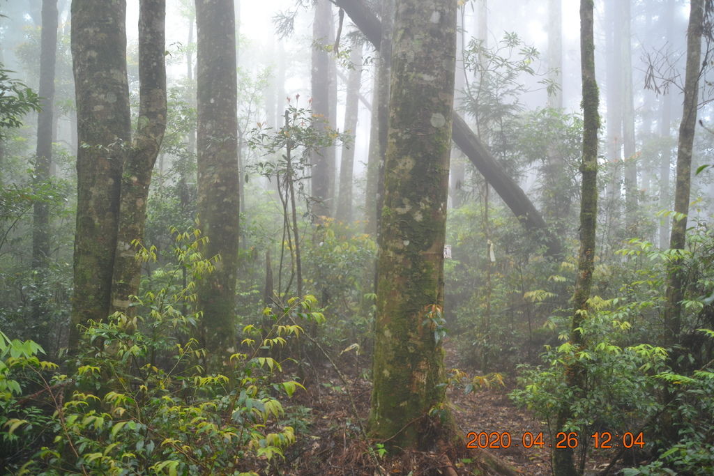 DSC_0130.JPG DSC_0130.JPG
