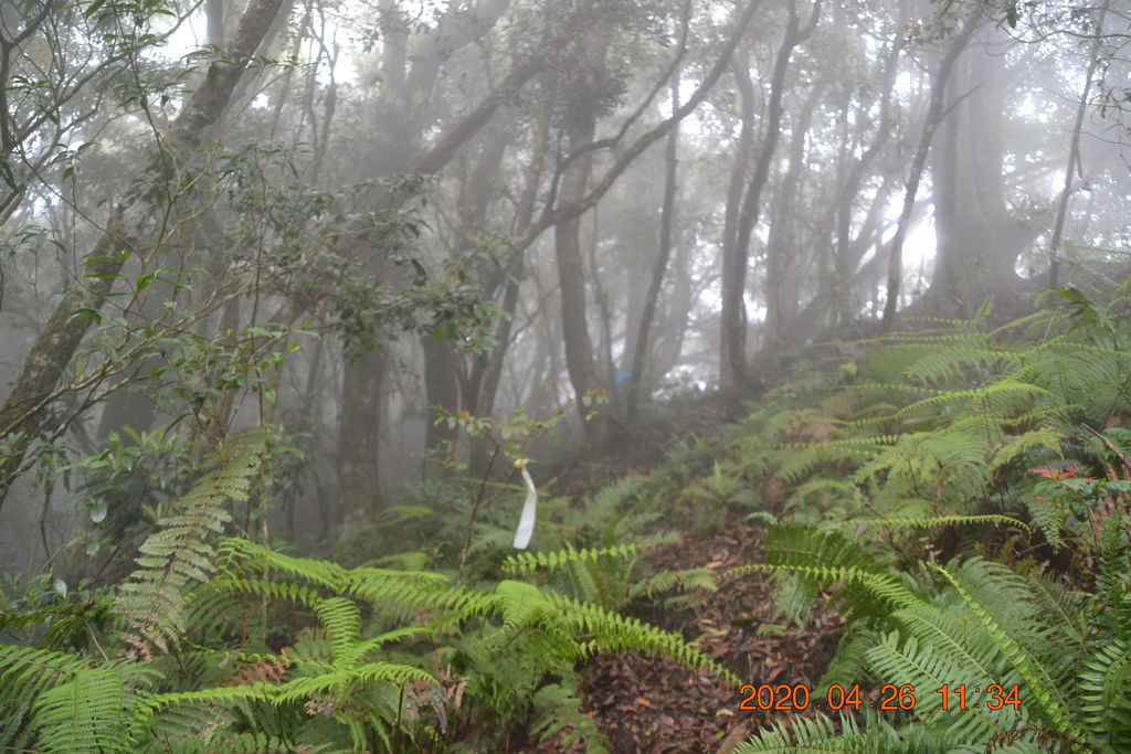 DSC_0116.JPG DSC_0116.JPG