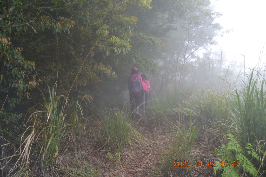 DSC_0149.JPG DSC_0149.JPG