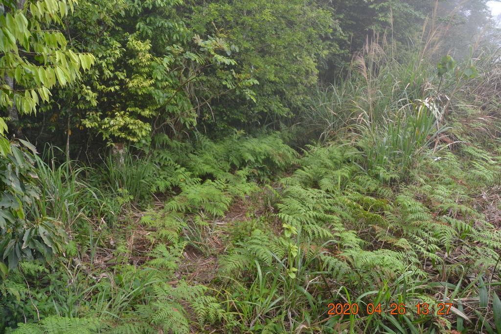 DSC_0141.JPG DSC_0141.JPG