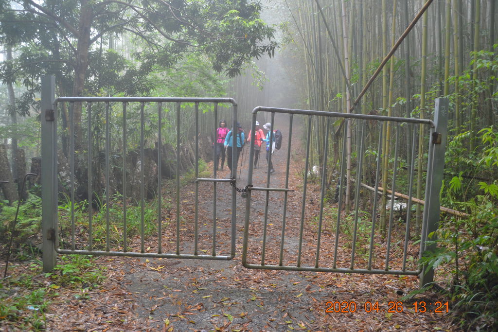 DSC_0137.JPG DSC_0137.JPG