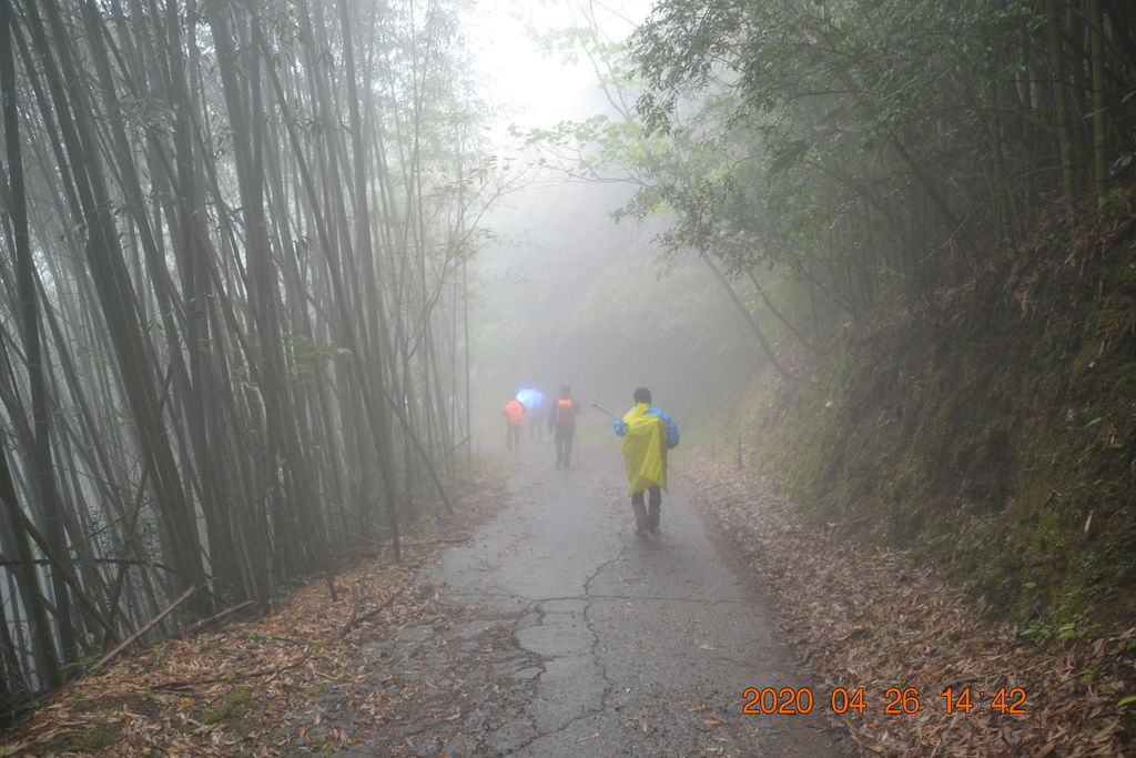 DSC_0175.JPG DSC_0175.JPG