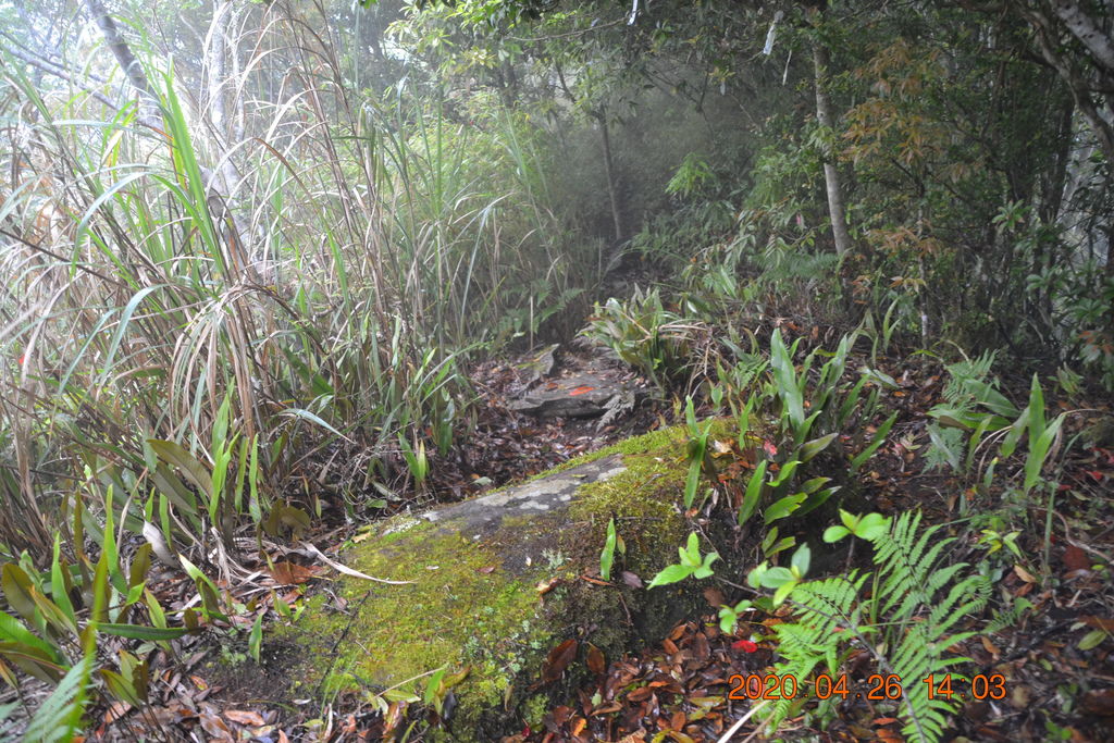 DSC_0170.JPG DSC_0170.JPG
