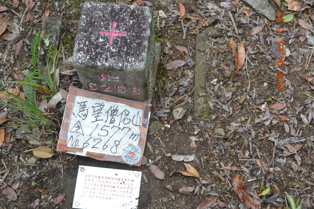 DSC_0163.JPG DSC_0163.JPG