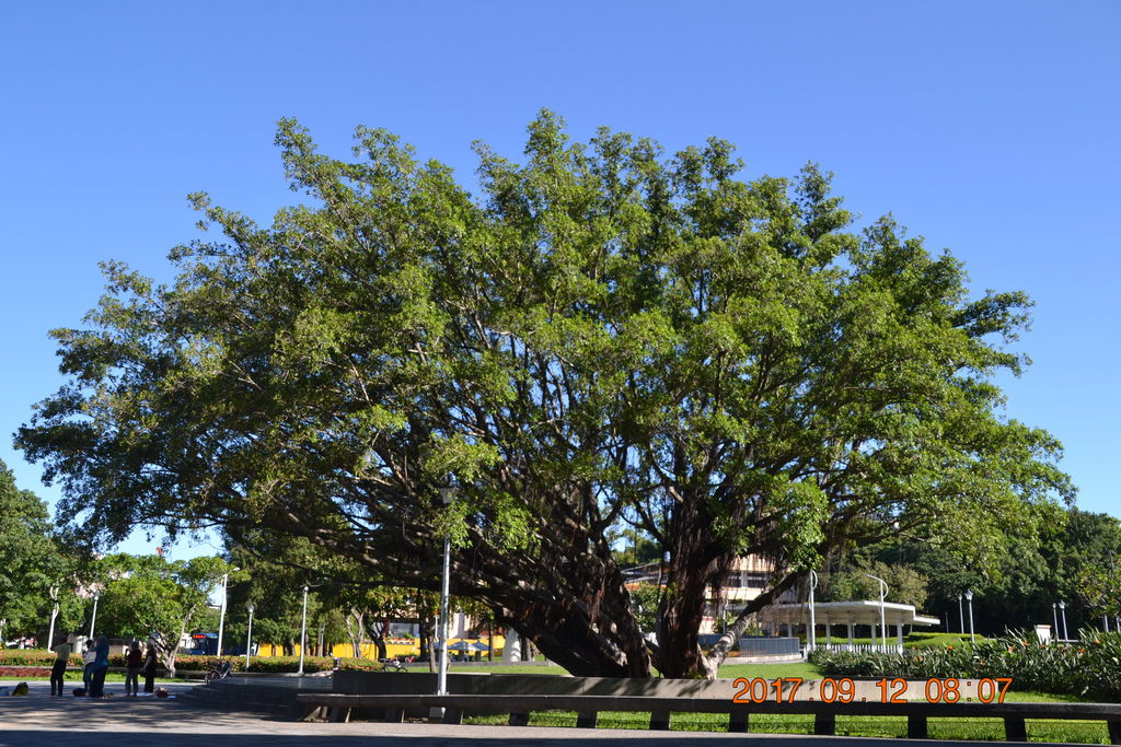 DSC_0015.JPG DSC_0015.JPG