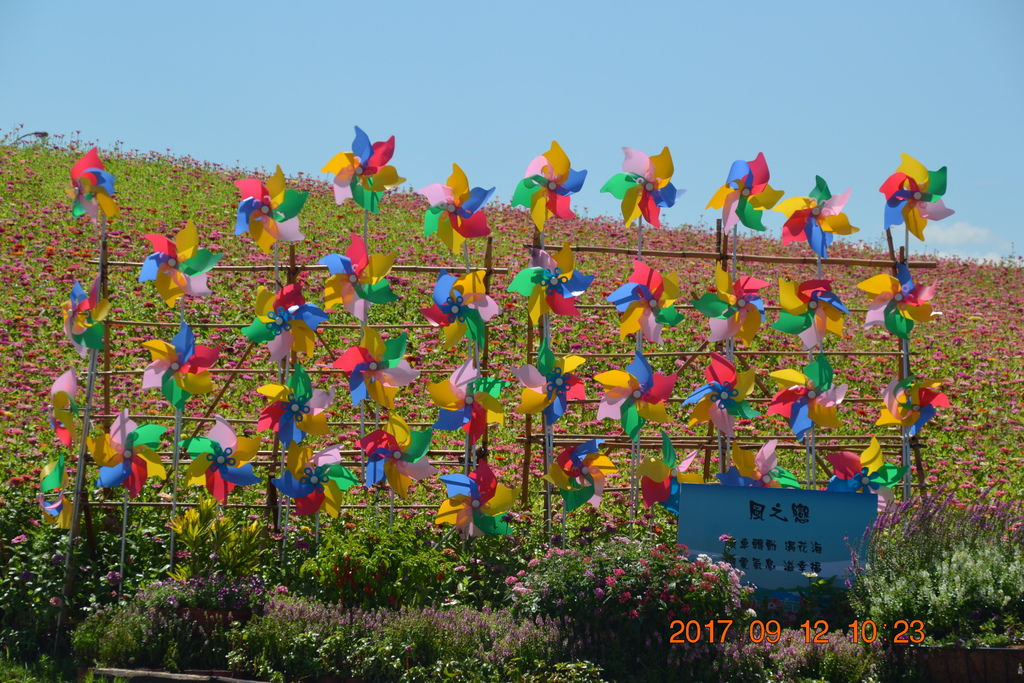 DSC_0223.JPG DSC_0223.JPG