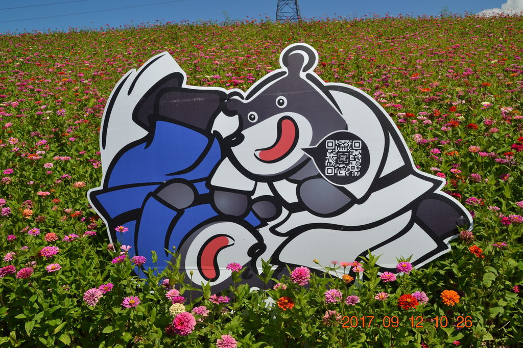 DSC_0235.JPG DSC_0235.JPG