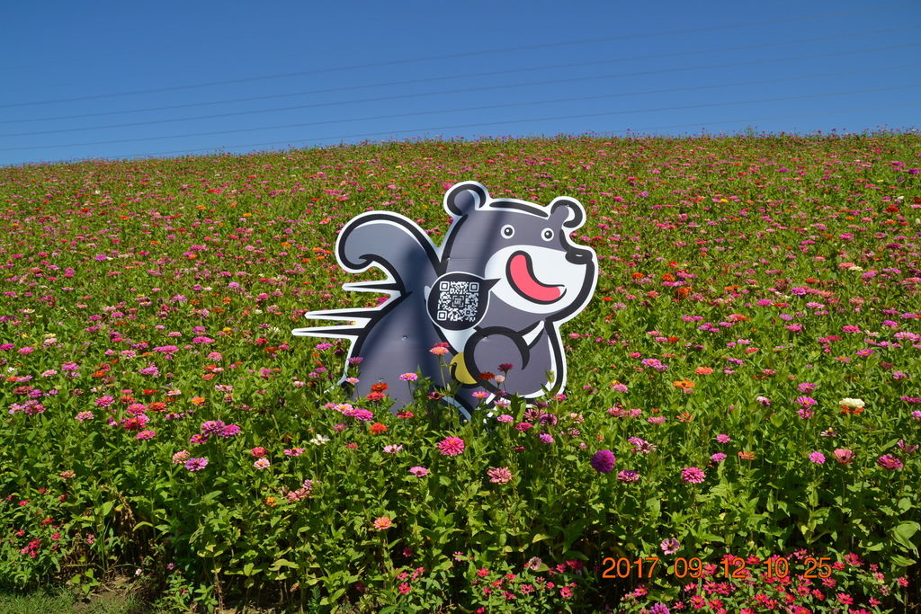 DSC_0230.JPG DSC_0230.JPG