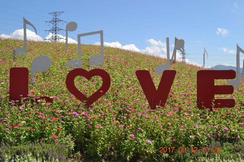 DSC_0217.JPG DSC_0217.JPG