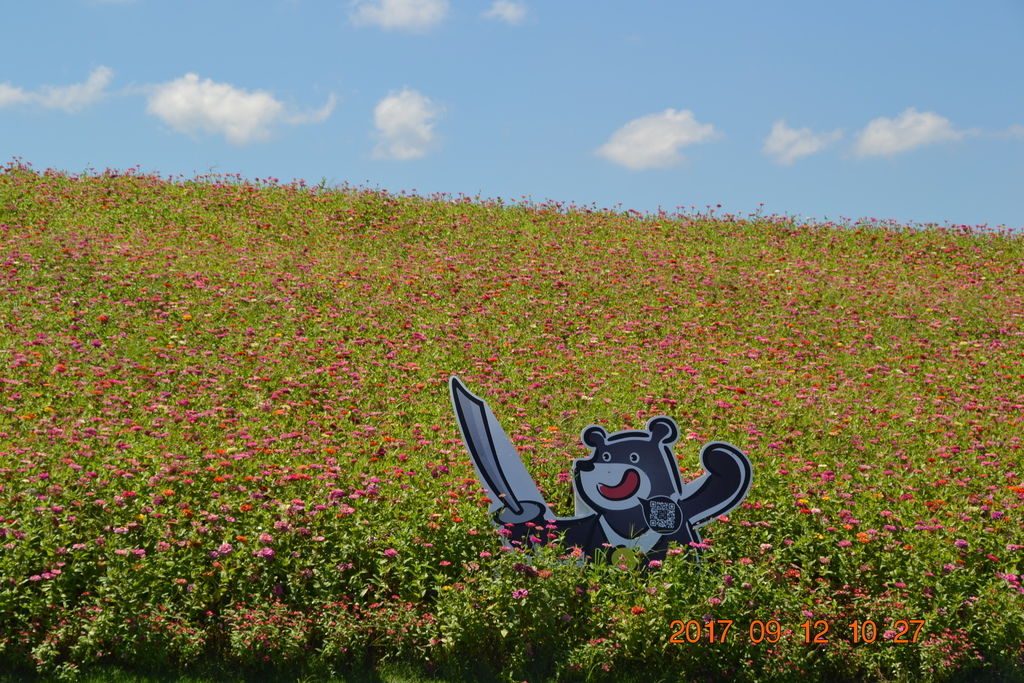 DSC_0236.JPG DSC_0236.JPG