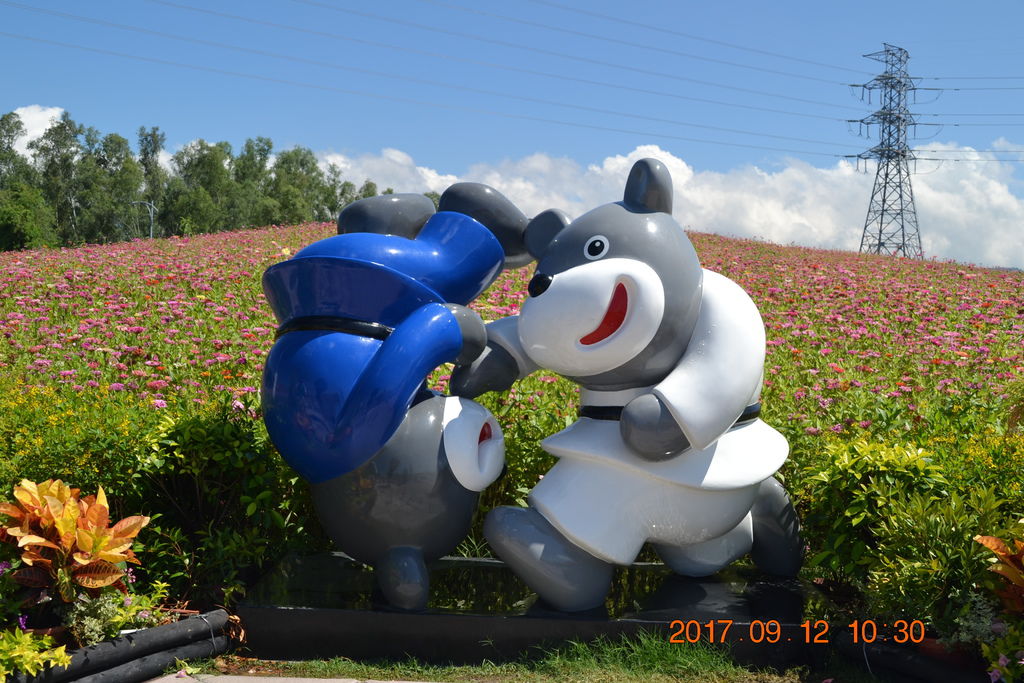 DSC_0248.JPG DSC_0248.JPG