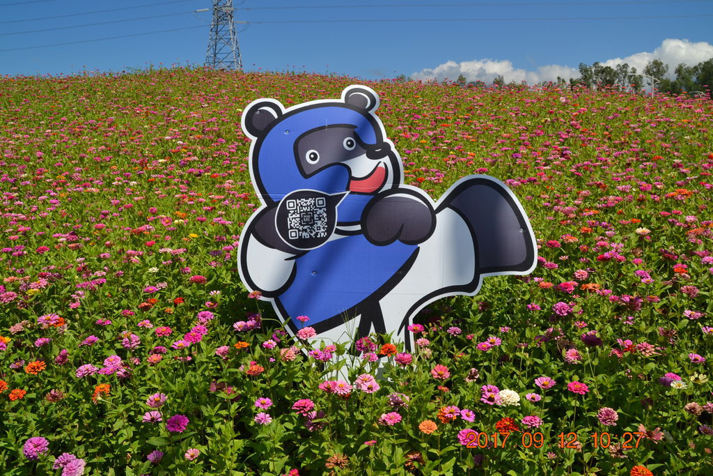 DSC_0237.JPG DSC_0237.JPG