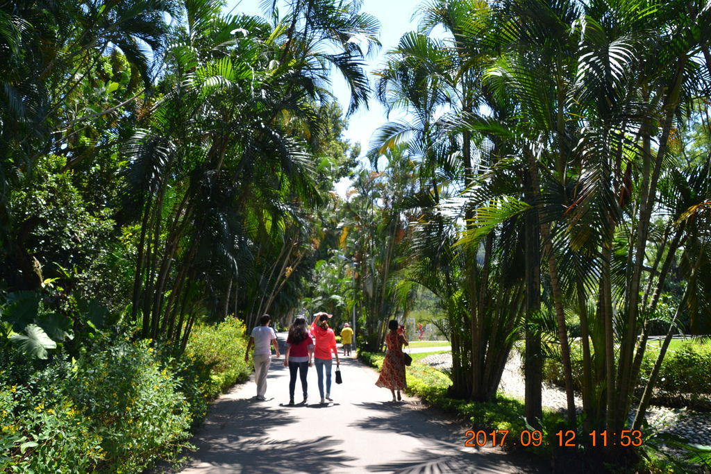 DSC_0312.JPG DSC_0312.JPG