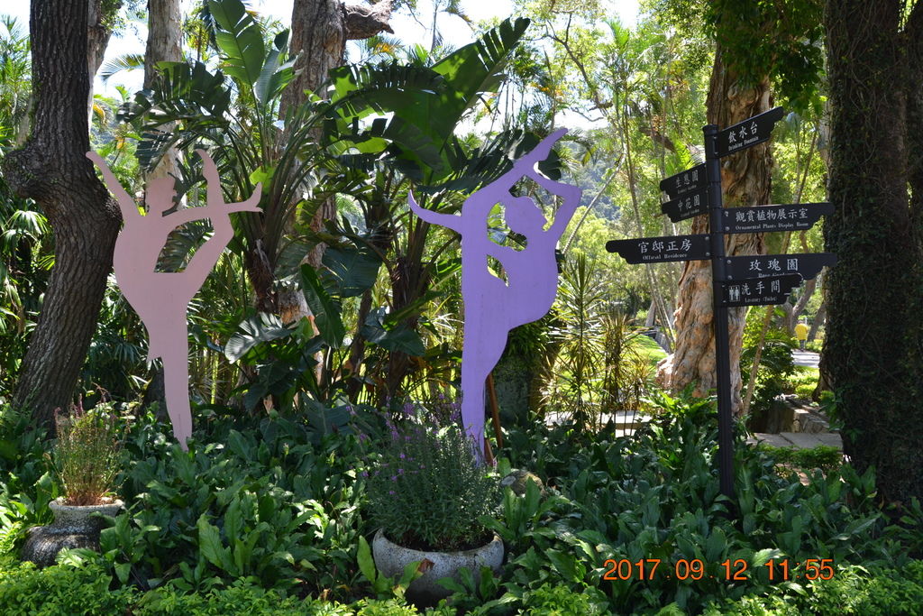 DSC_0316.JPG DSC_0316.JPG