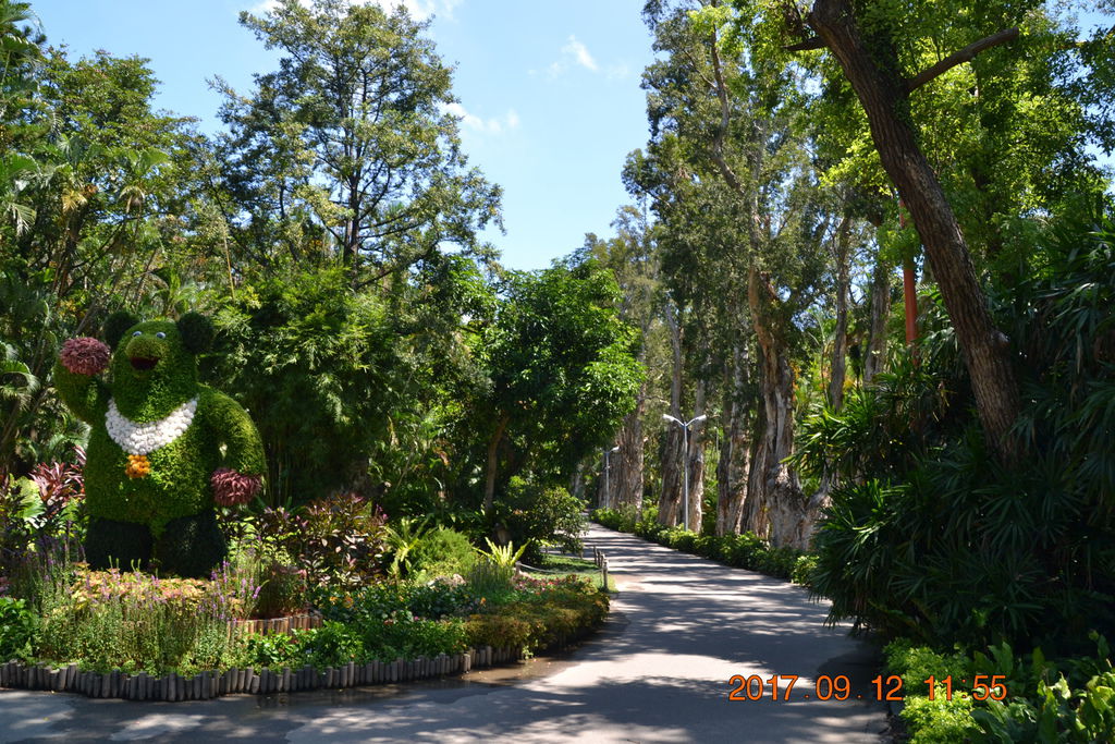 DSC_0317.JPG DSC_0317.JPG