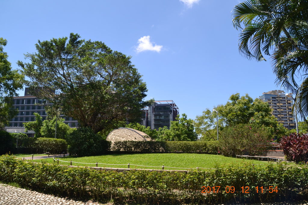 DSC_0313.JPG DSC_0313.JPG