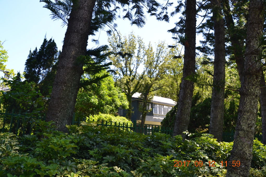 DSC_0331.JPG DSC_0331.JPG