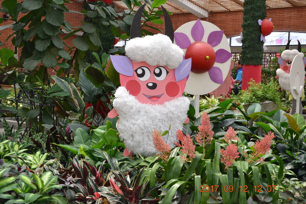 DSC_0359.JPG DSC_0359.JPG