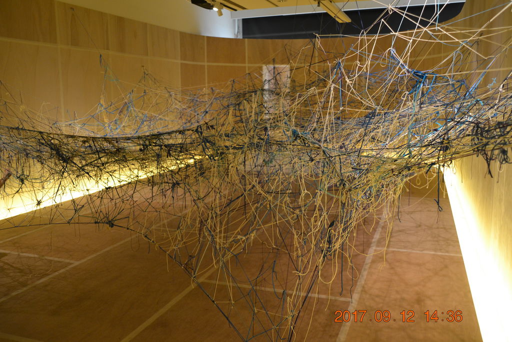 DSC_0429.JPG DSC_0429.JPG
