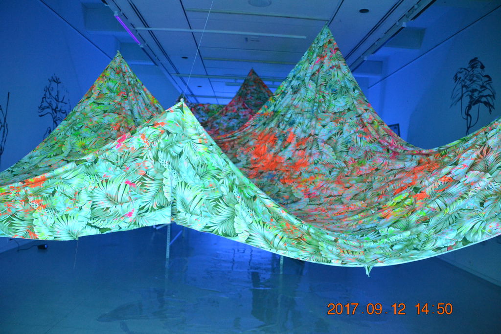 DSC_0447.JPG DSC_0447.JPG