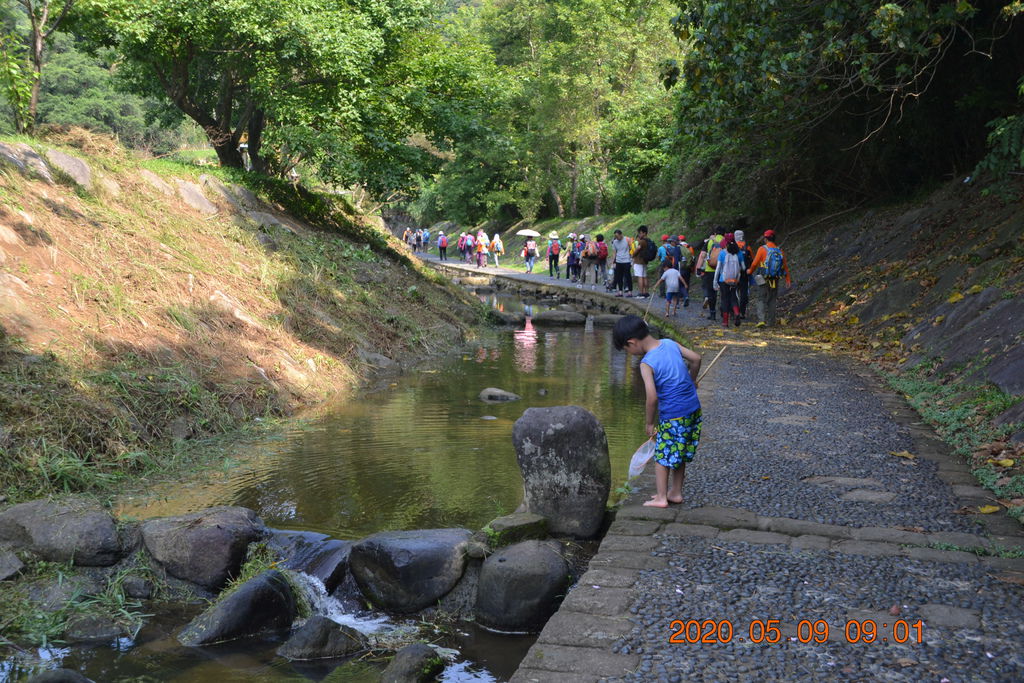 DSC_0035.JPG DSC_0035.JPG