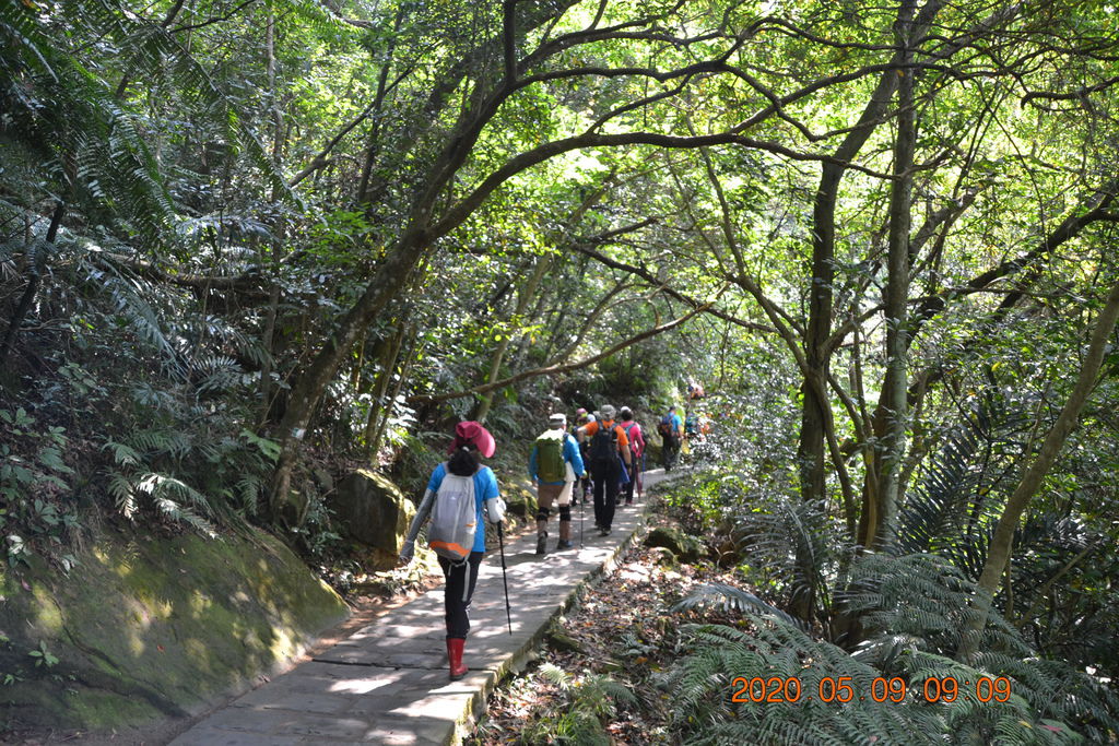 DSC_0055.JPG DSC_0055.JPG