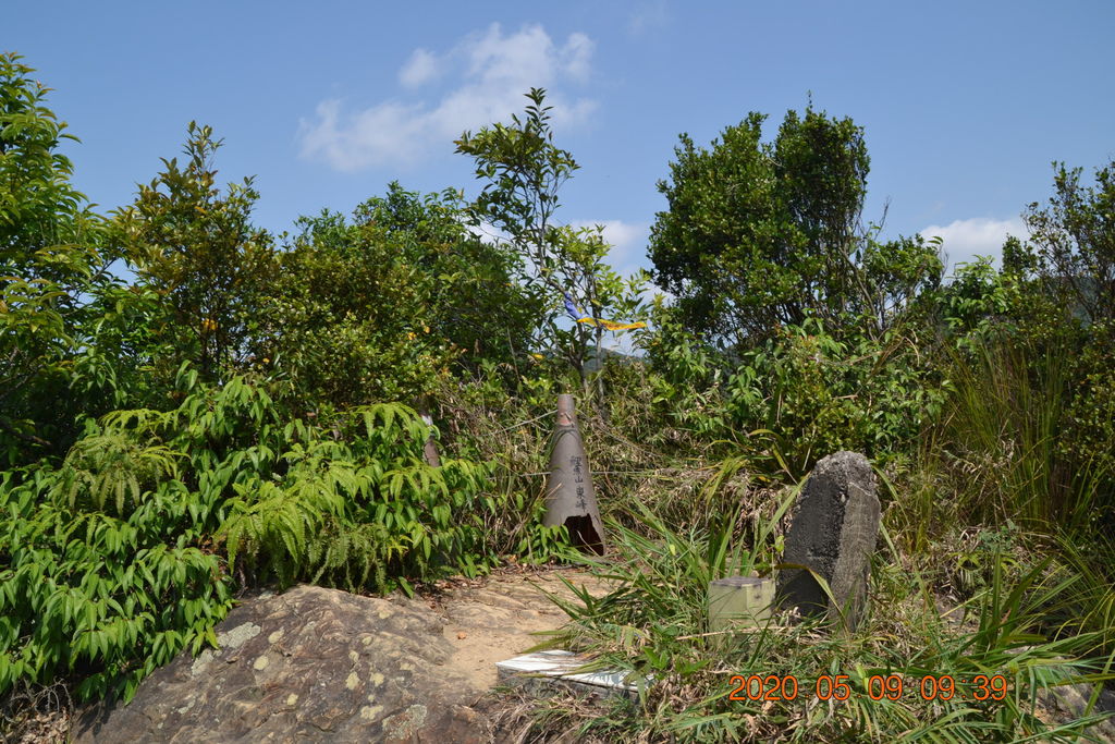 DSC_0077.JPG DSC_0077.JPG
