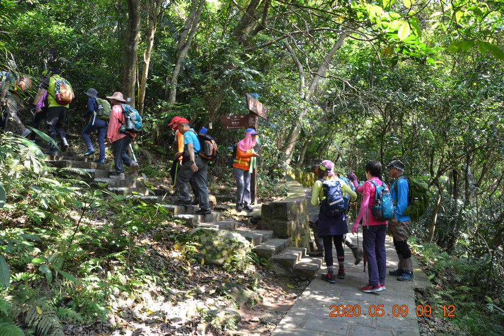 DSC_0056.JPG DSC_0056.JPG