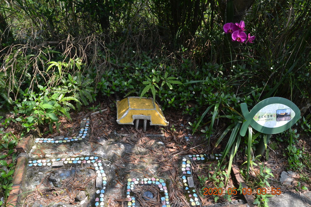 DSC_0104.JPG DSC_0104.JPG