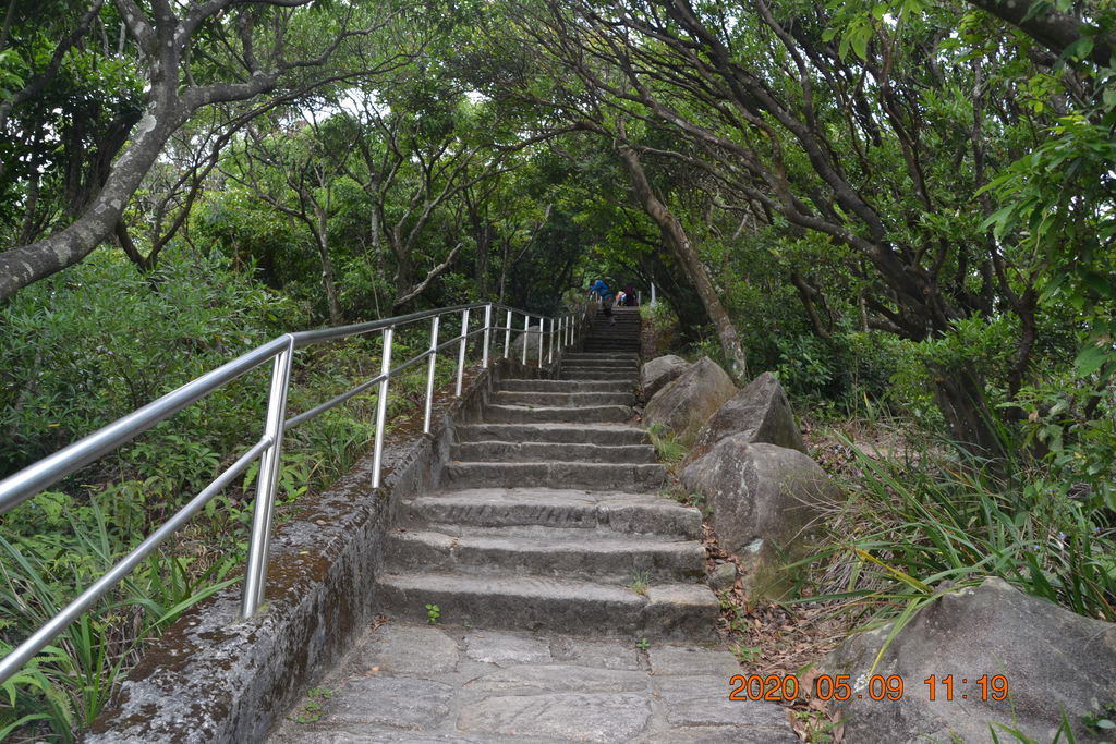 DSC_0155.JPG DSC_0155.JPG