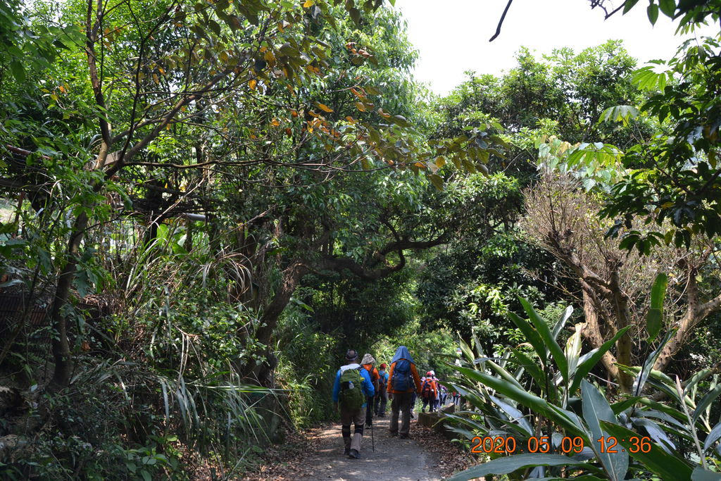 DSC_0171.JPG DSC_0171.JPG