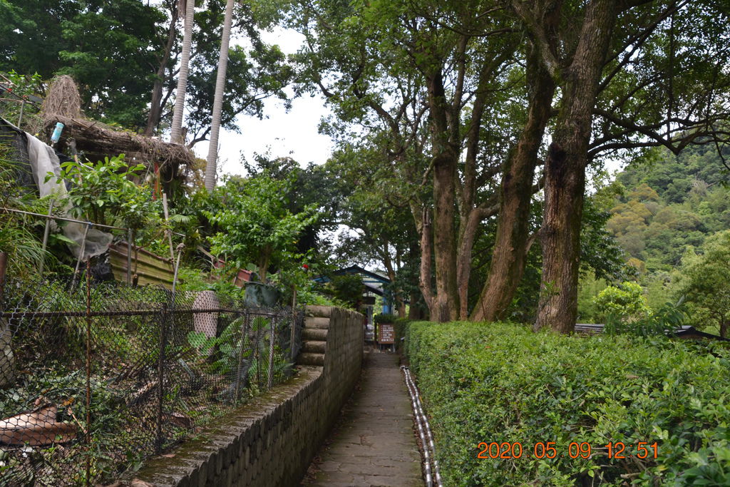DSC_0198.JPG DSC_0198.JPG