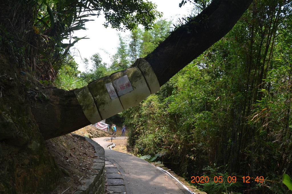 DSC_0197.JPG DSC_0197.JPG
