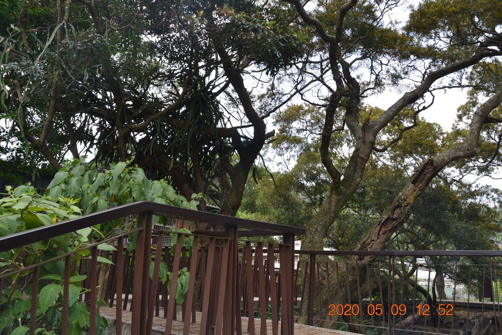 DSC_0199.JPG DSC_0199.JPG