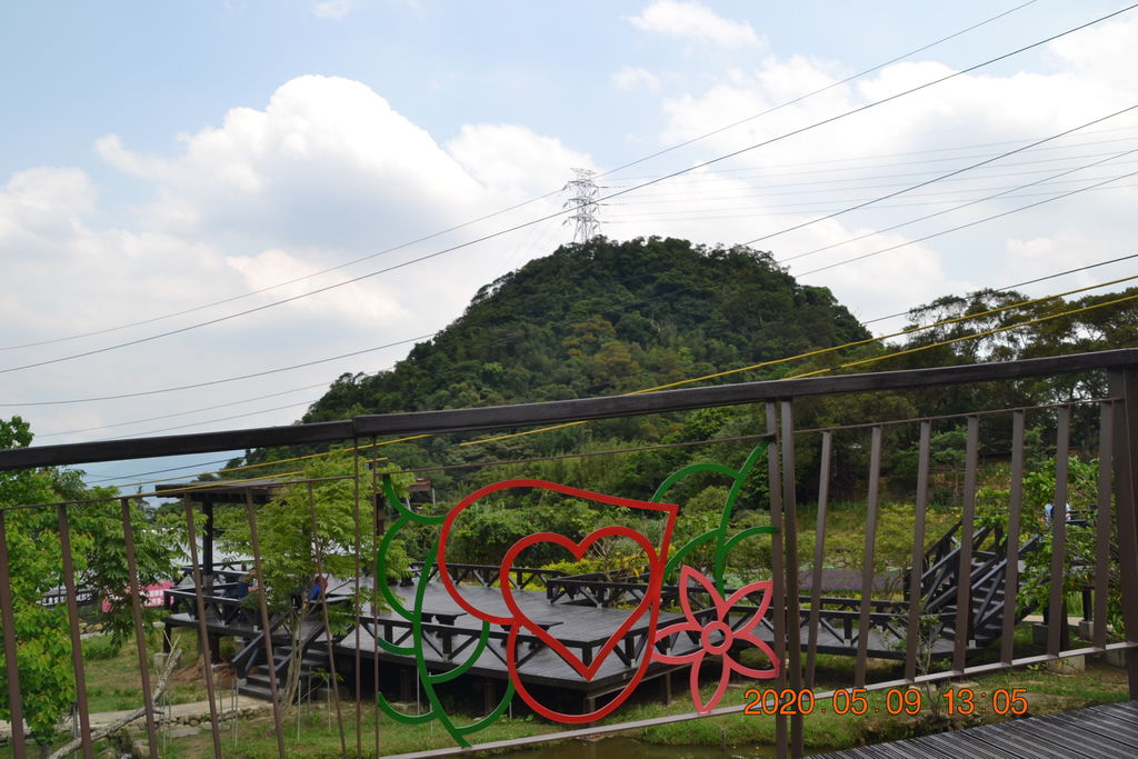 DSC_0205.JPG DSC_0205.JPG