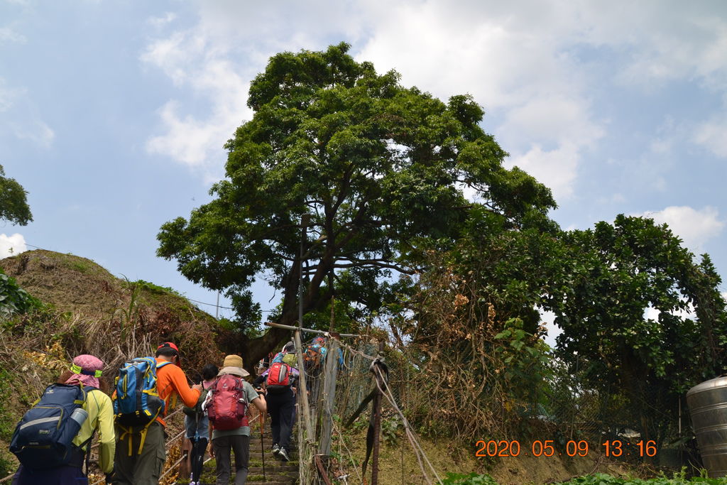 DSC_0213.JPG DSC_0213.JPG