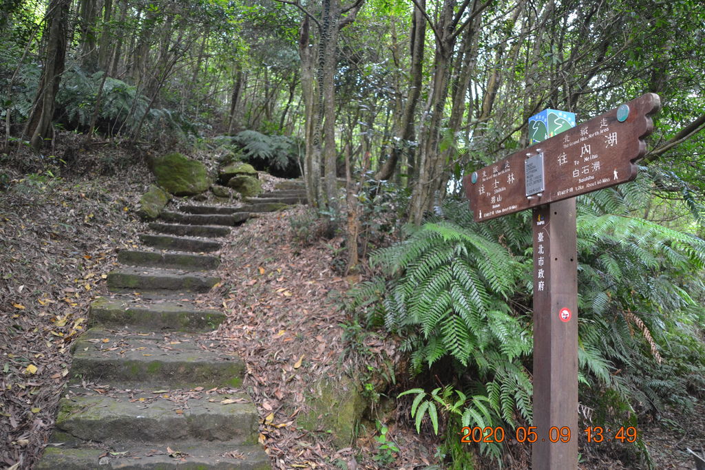 DSC_0224.JPG DSC_0224.JPG