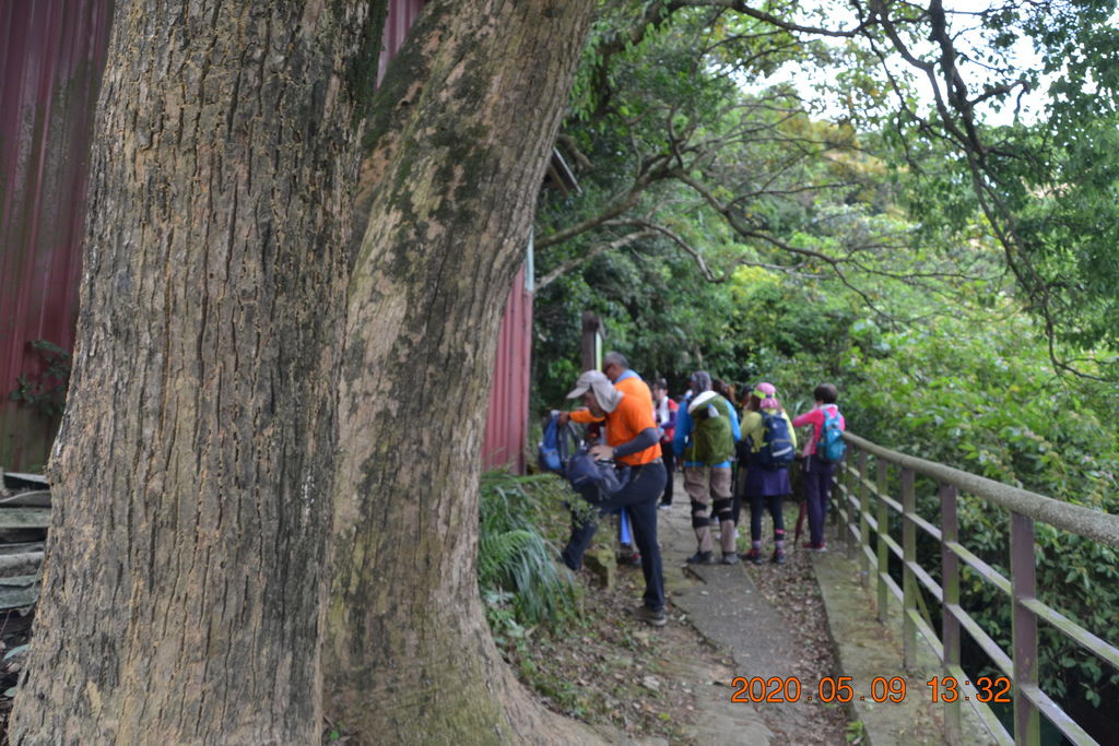 DSC_0221.JPG DSC_0221.JPG
