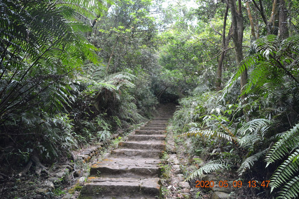 DSC_0223.JPG DSC_0223.JPG