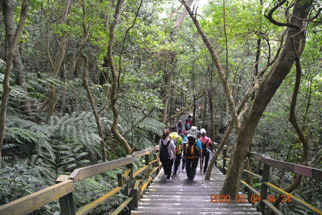 DSC_0237.JPG DSC_0237.JPG
