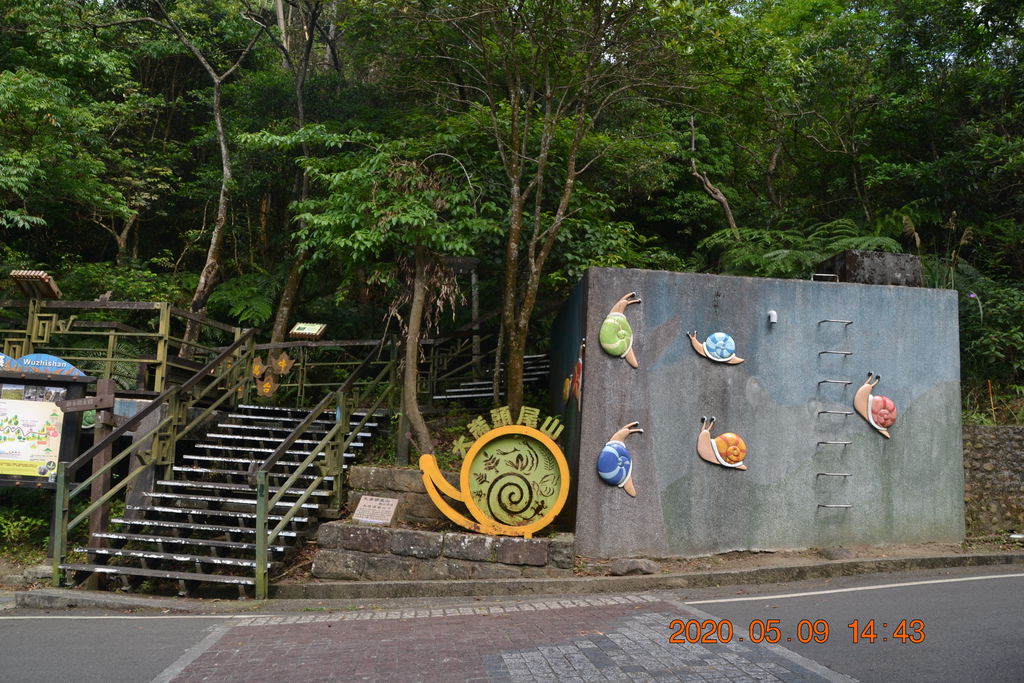 DSC_0241.JPG DSC_0241.JPG
