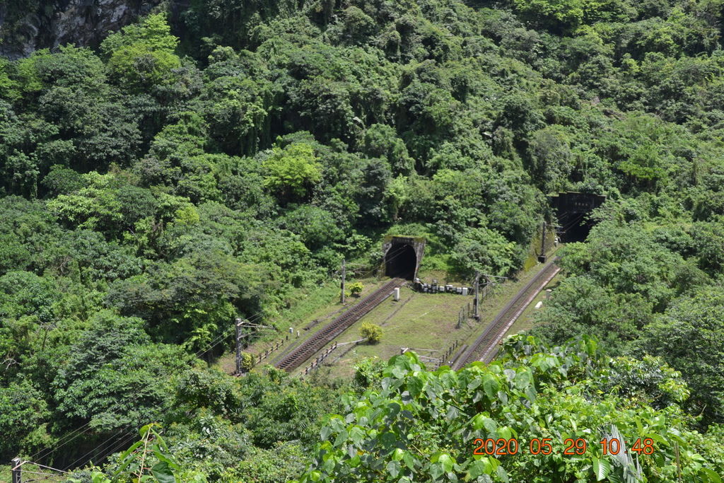 DSC_0129.JPG DSC_0129.JPG