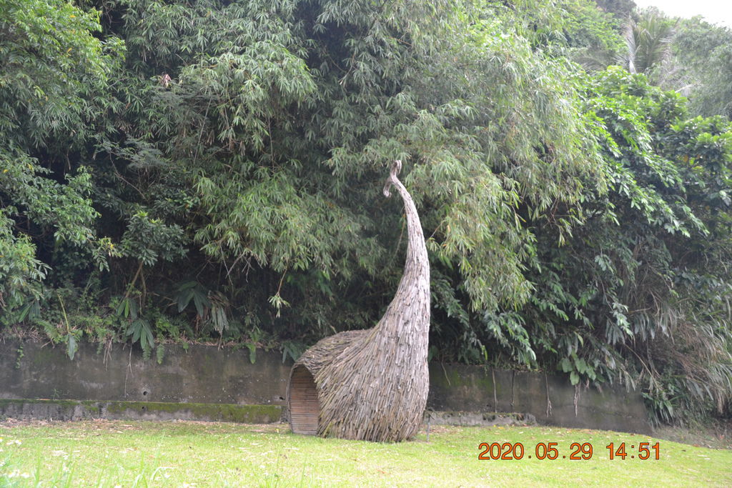 DSC_0215.JPG DSC_0215.JPG