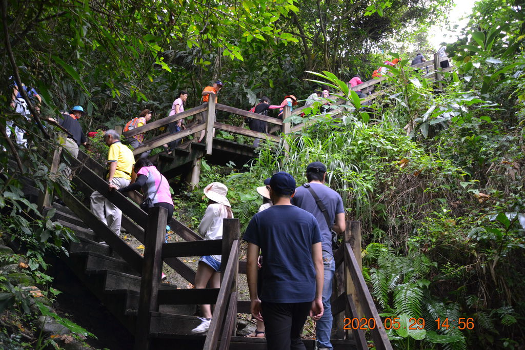 DSC_0223.JPG DSC_0223.JPG