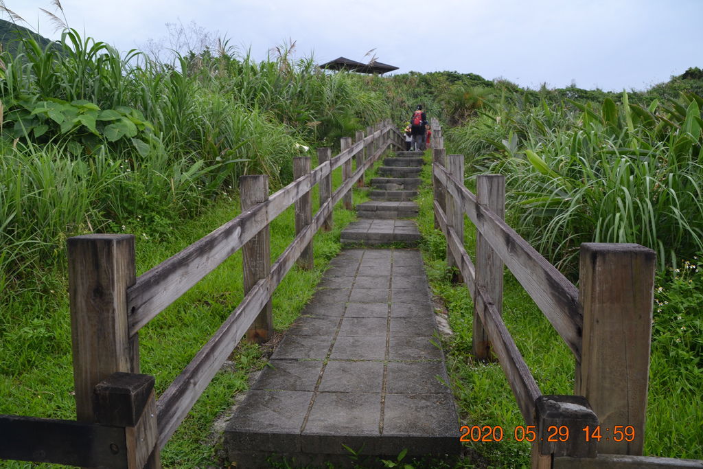 DSC_0233.JPG DSC_0233.JPG