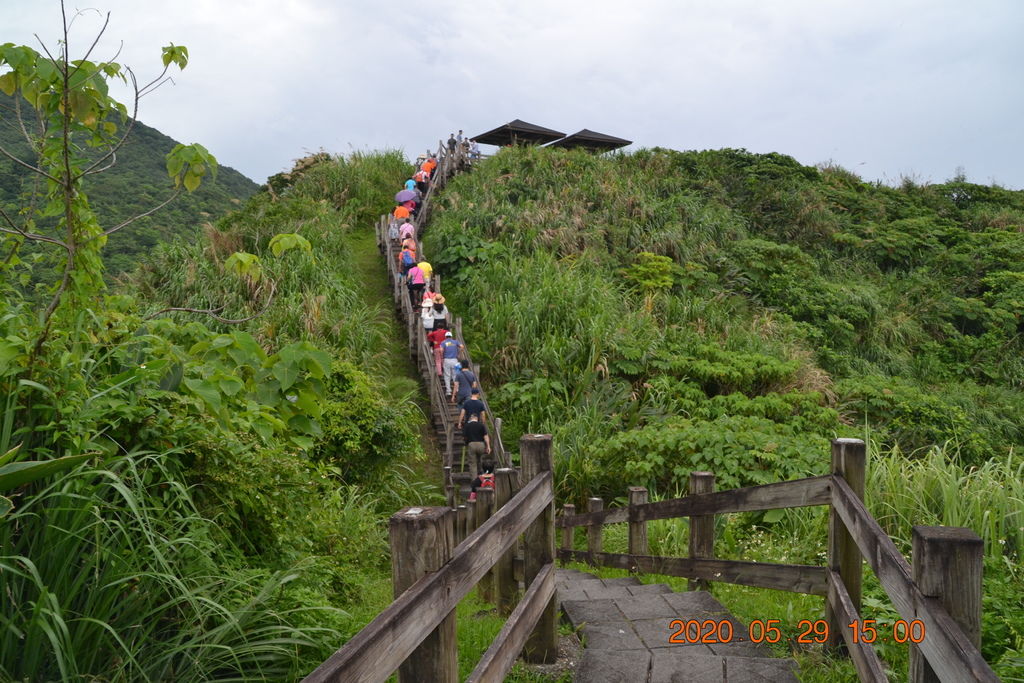 DSC_0235.JPG DSC_0235.JPG
