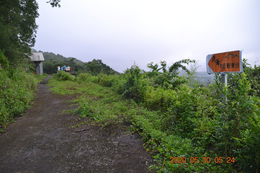 DSC_0399.JPG DSC_0399.JPG